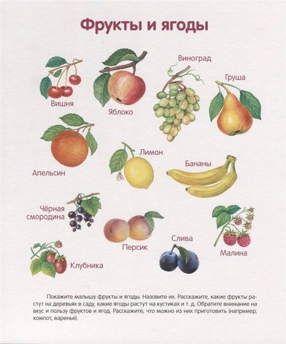 Первая книга малыша фото книги 3