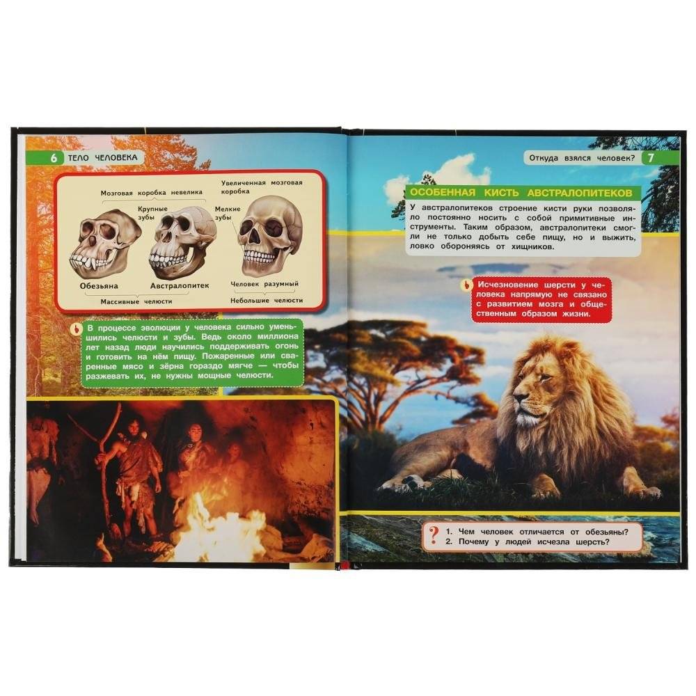 Тело человека. Энциклопедия с развивающими заданиями фото книги 4