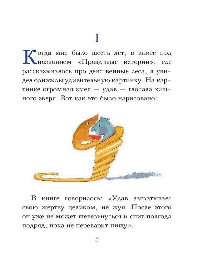 Маленький принц фото книги 5