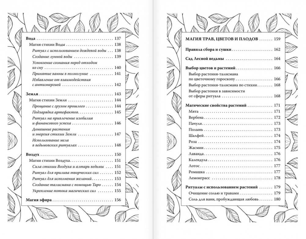 Секреты зеленой ведьмы. Фамильяры, магия стихий, растений и камней фото книги 4