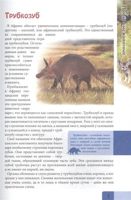 Энциклопедия. В мире знаний. Необычные животные фото книги 4