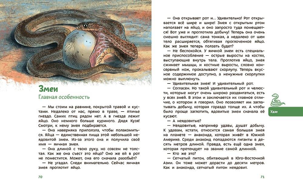 Динозавры и другие пресмыкающиеся фото книги 7