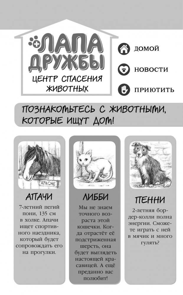 Где прячется котёнок? фото книги 9