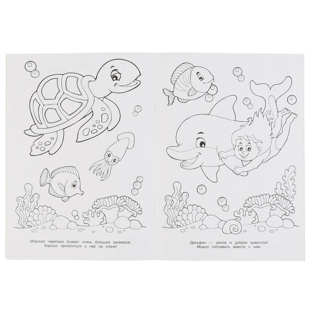 Волшебный океан фото книги 4