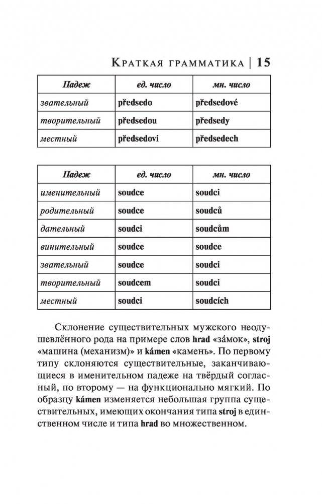 Чешский язык. 4-в-1: грамматика, разговорник, чешско-русский словарь, русско-чешский словарь фото книги 15
