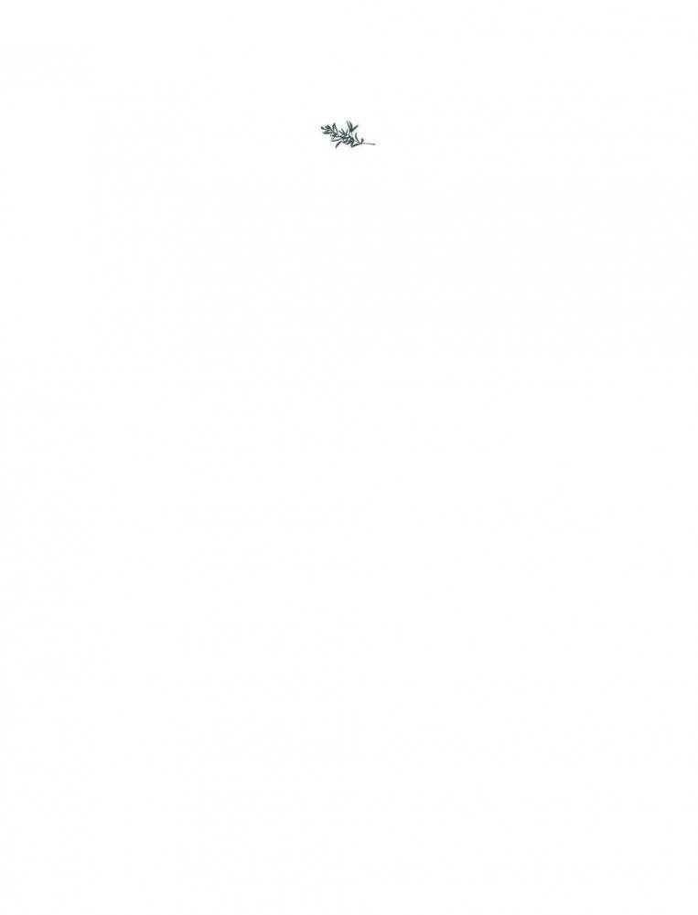 Лекарственные растения. Большая иллюстрированная энциклопедия фото книги 2