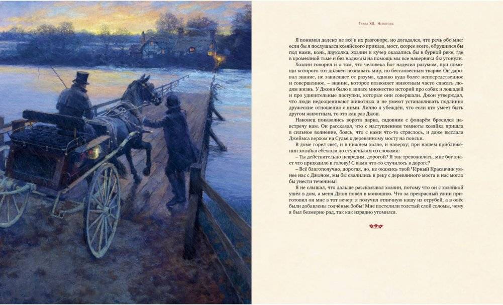 Чёрный красавчик фото книги 5