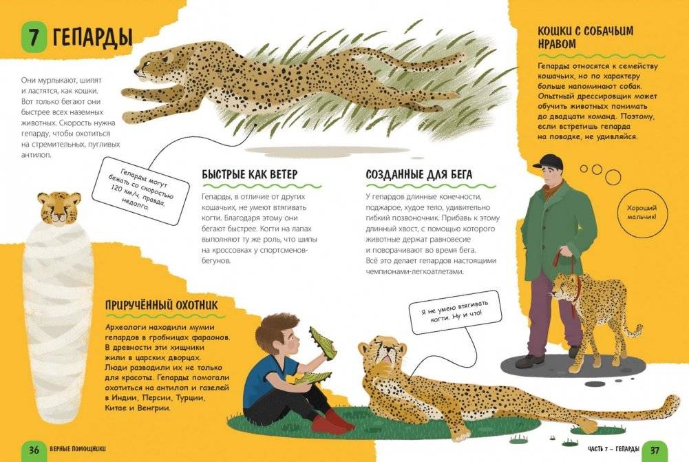 Верные помощники фото книги 5
