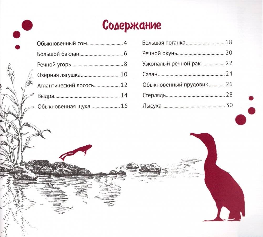 Реки и озёра Беларуси фото книги 4