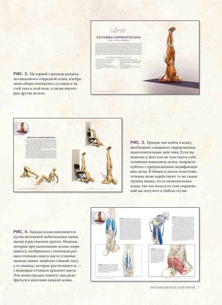 Анатомия балансов на руках и перевернутых поз фото книги 5
