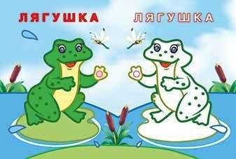 Лиса и енот фото книги 2