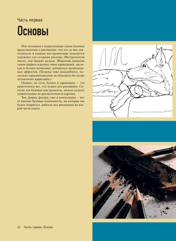 Реалистичные рисунки животных. Дикие звери, домашние питомцы и другие представители фауны фото книги 8