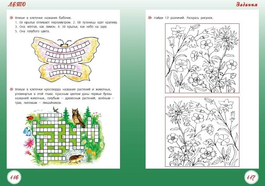 Круглый год фото книги 4