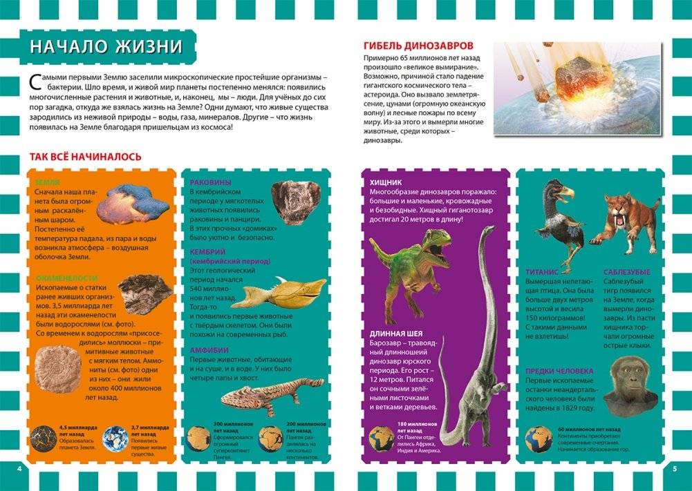 Динозавры. Детская энциклопедия фото книги 3