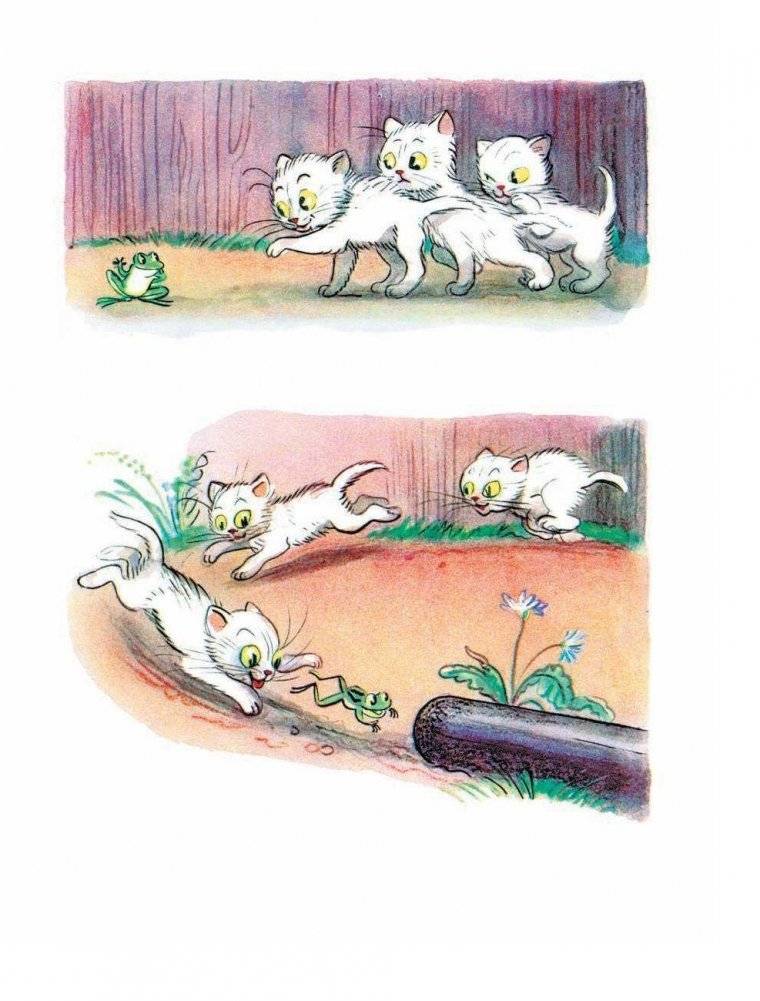 Сказки и картинки фото книги 9