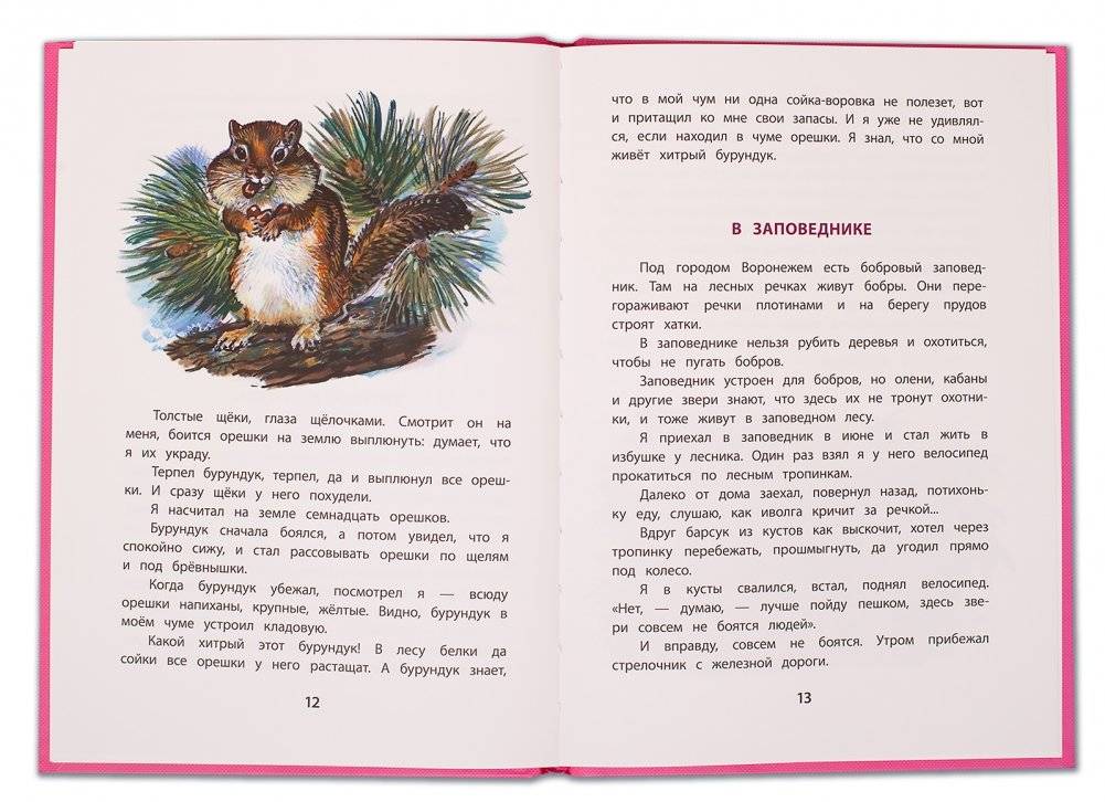 Хитрый бурундук фото книги 4