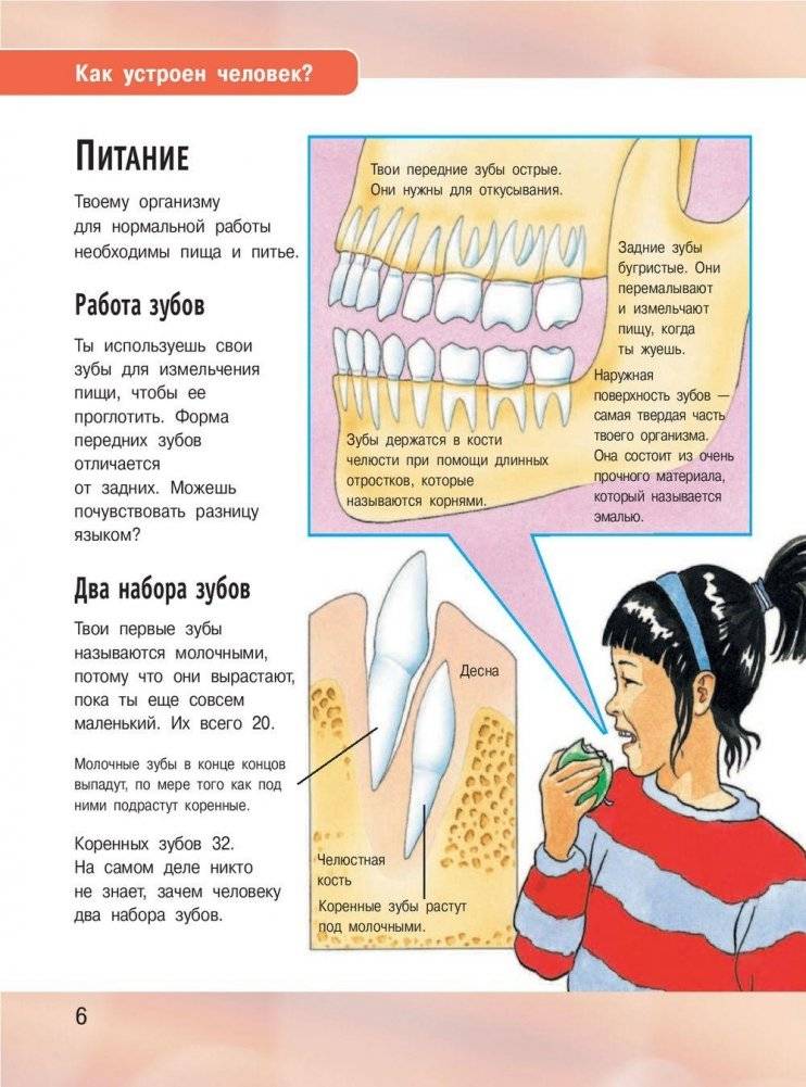 Иллюстрированная энциклопедия отчего и почему фото книги 7