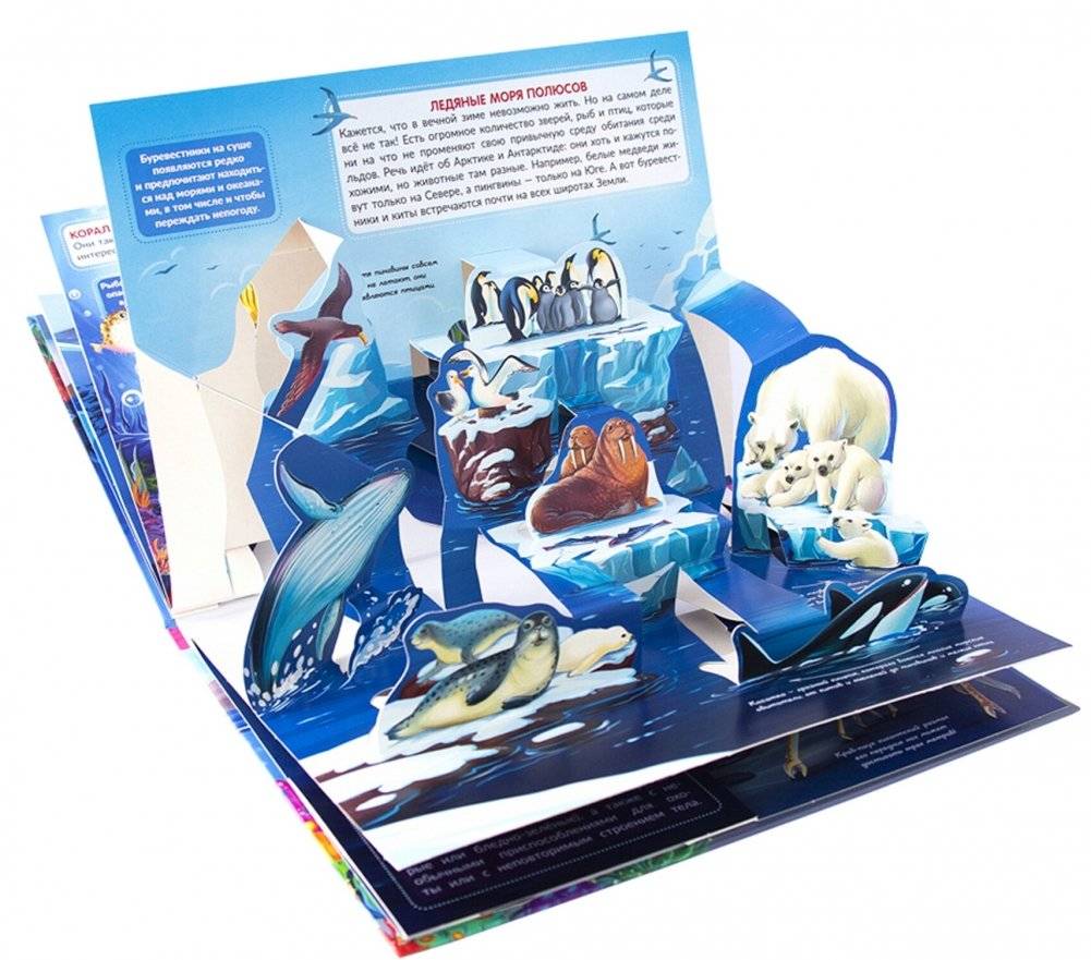 Живая планета. Моря и океаны. Книжка-панорамка фото книги 2