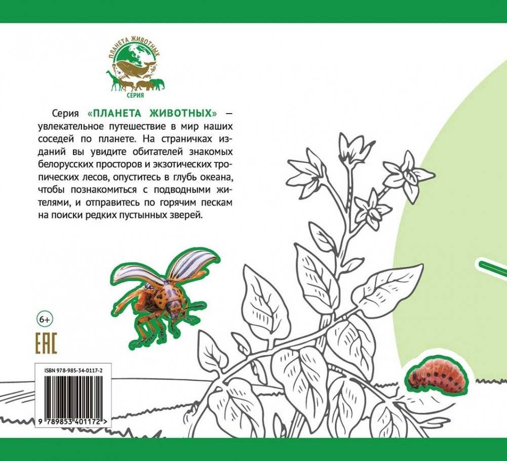 Насекомые Беларуси фото книги 2