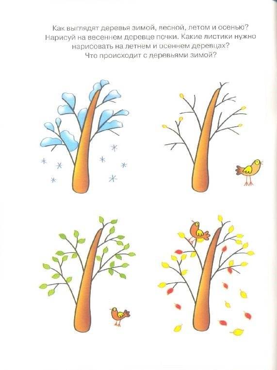 Знакомимся с природой (3-4 года) фото книги 4
