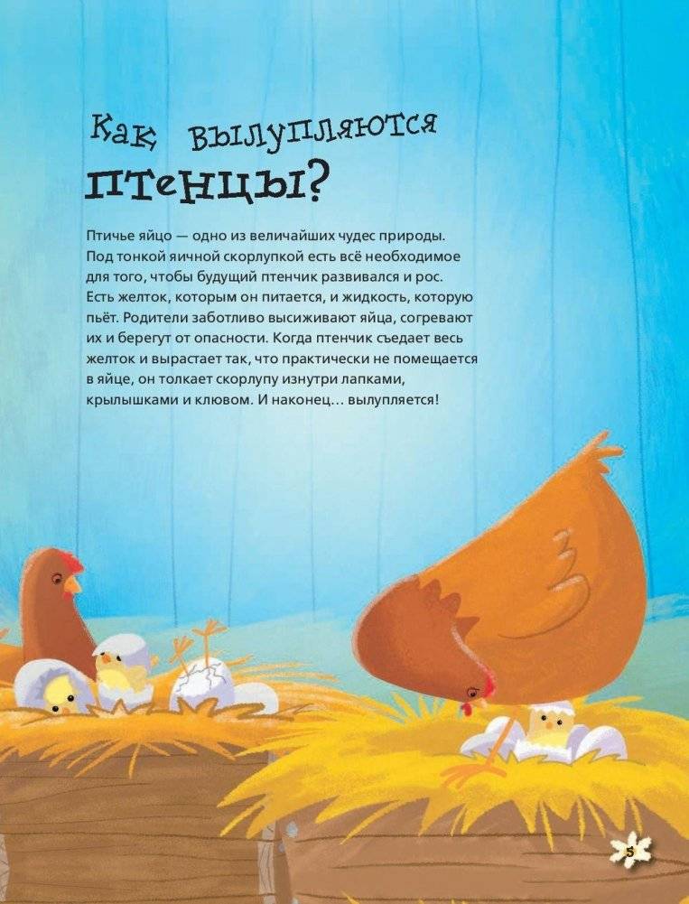 Живая природа в вопросах и ответах фото книги 5