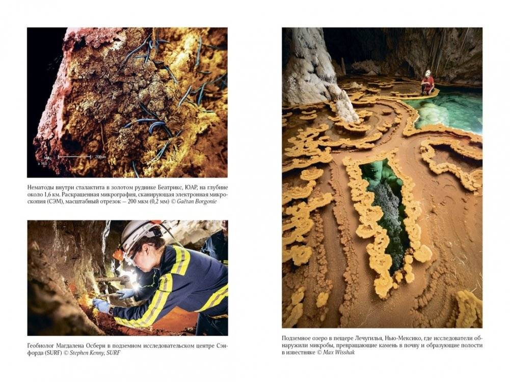 Удивительное зарождение Земли: Путешествие по скрытым чудесам, которые дали жизнь нашей планете фото книги 4
