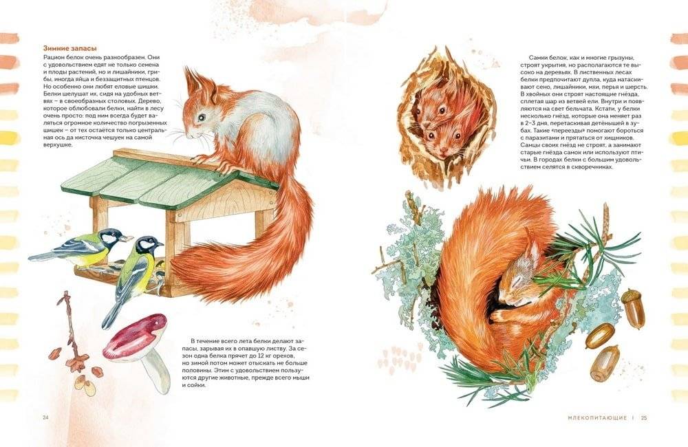 Животные в городе. Где найти и как узнать фото книги 2