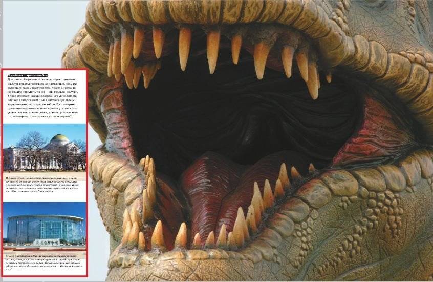 Динозавры фото книги 6