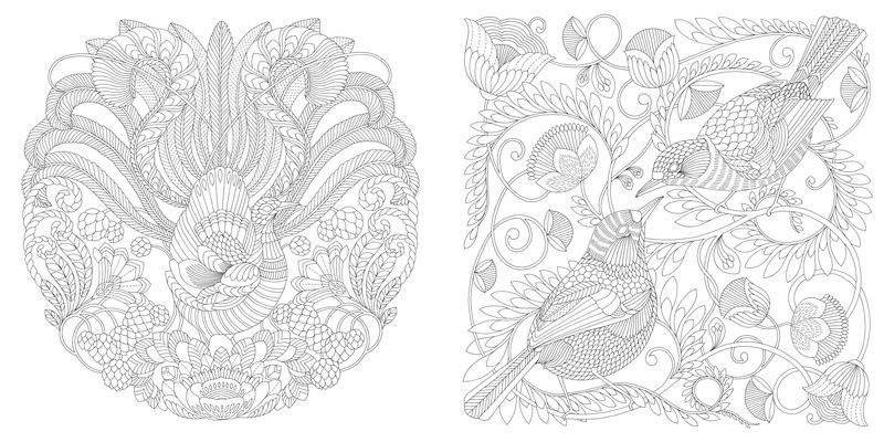 Дивные птицы. Книга для творчества и вдохновения фото книги 2