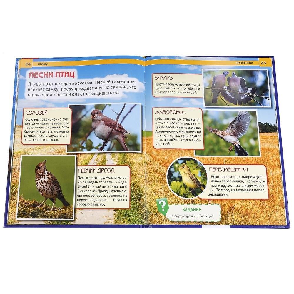 Птицы фото книги 2