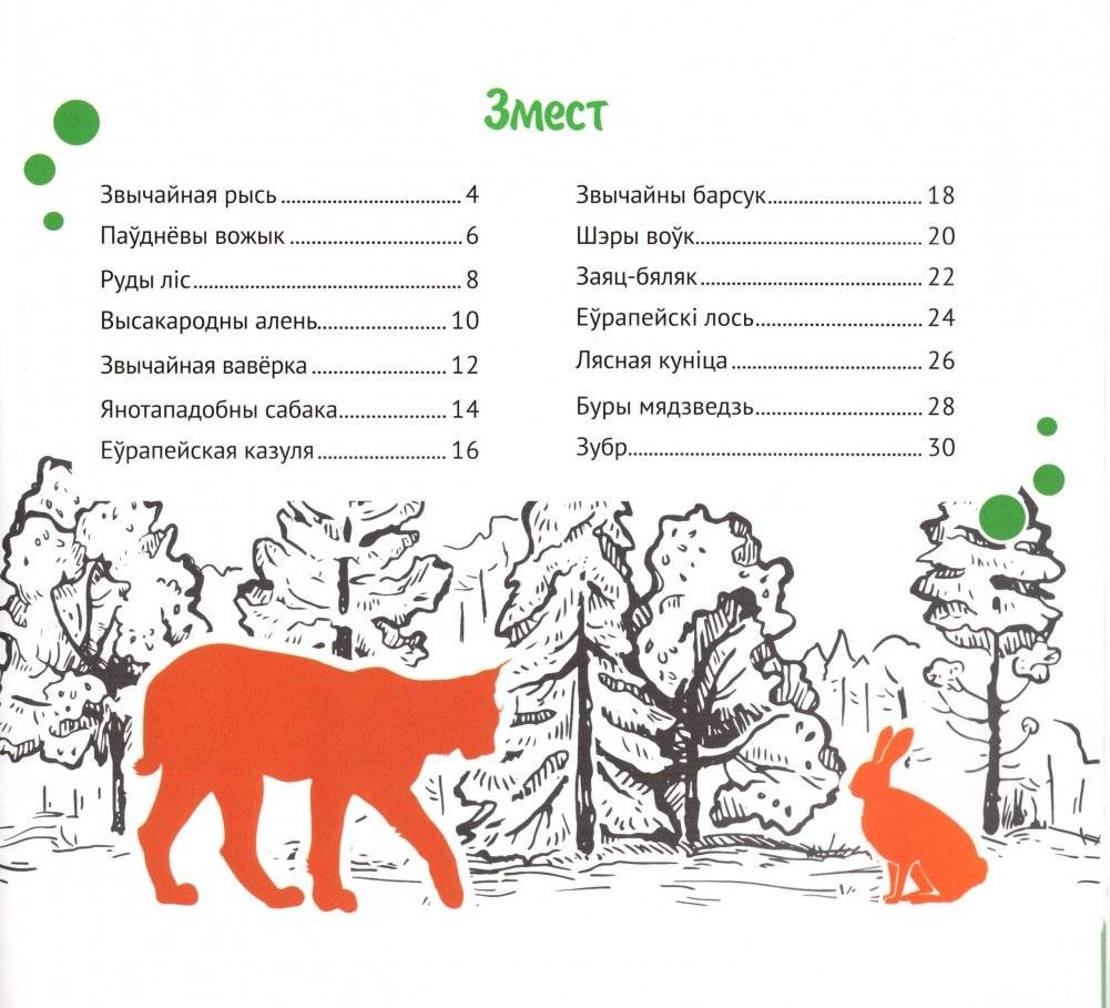 Беларускі лес фото книги 2