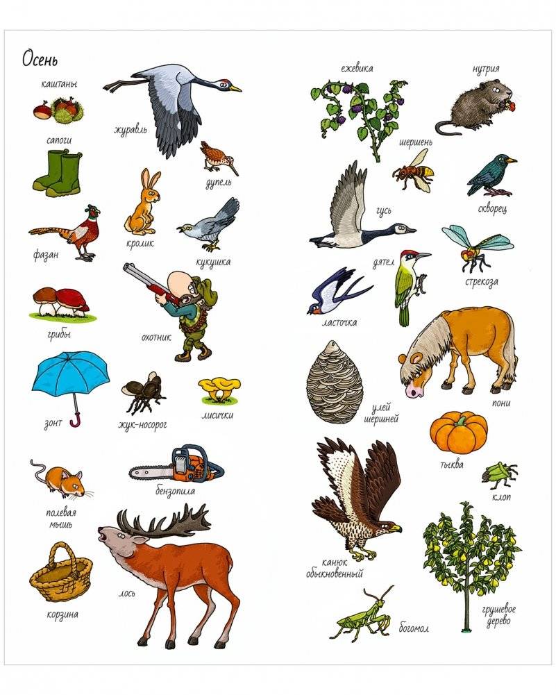 Найди и покажи. Времена года фото книги 3