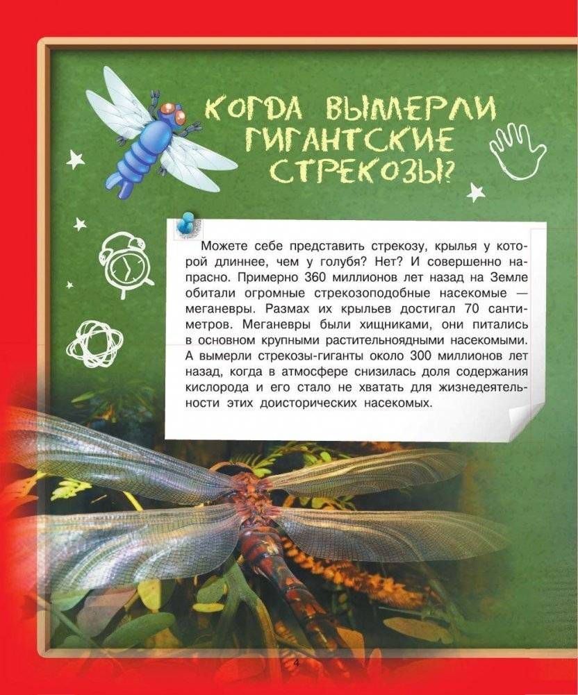 Детская энциклопедия в вопросах и ответах. Где? Когда? Как? фото книги 7