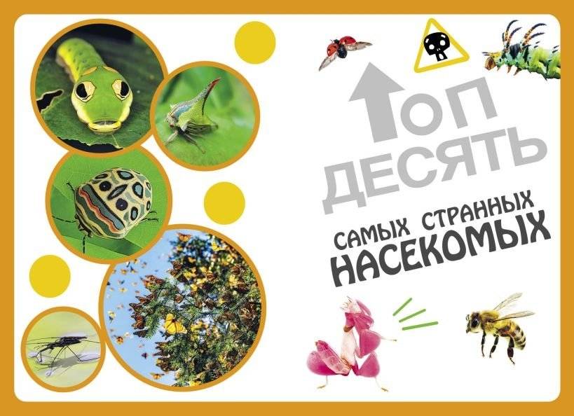 Самые необычные животные и места мира фото книги 3