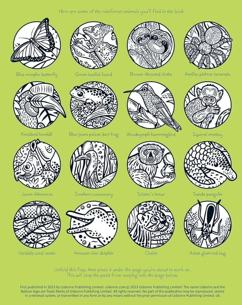 Rainforest Magic Painting Book фото книги 2