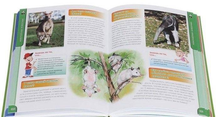 Новая детская энциклопедия в вопросах и ответах фото книги 3