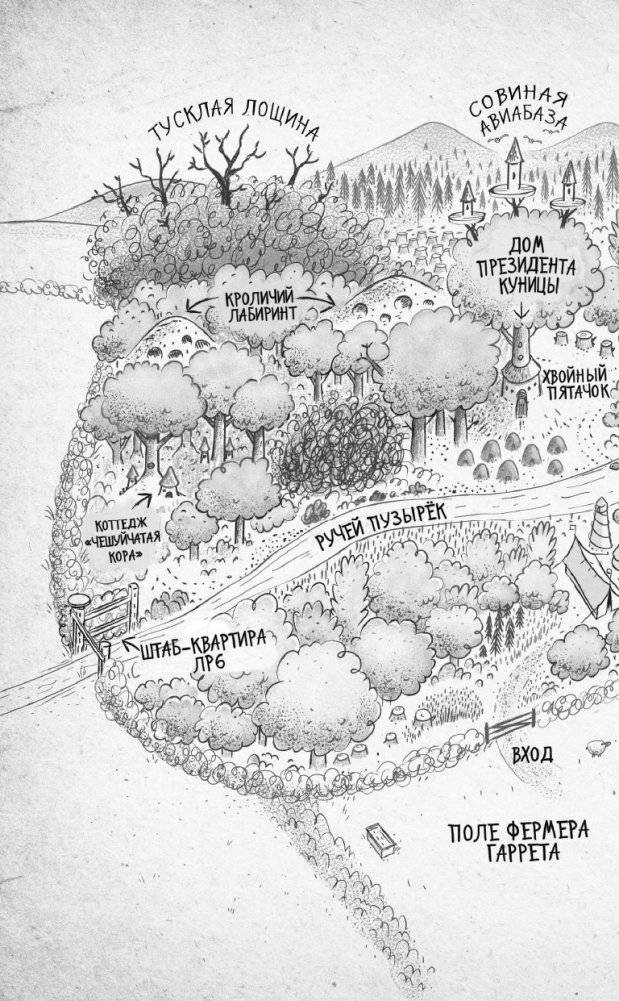 Дело о призовой тыкве (#1) фото книги 7