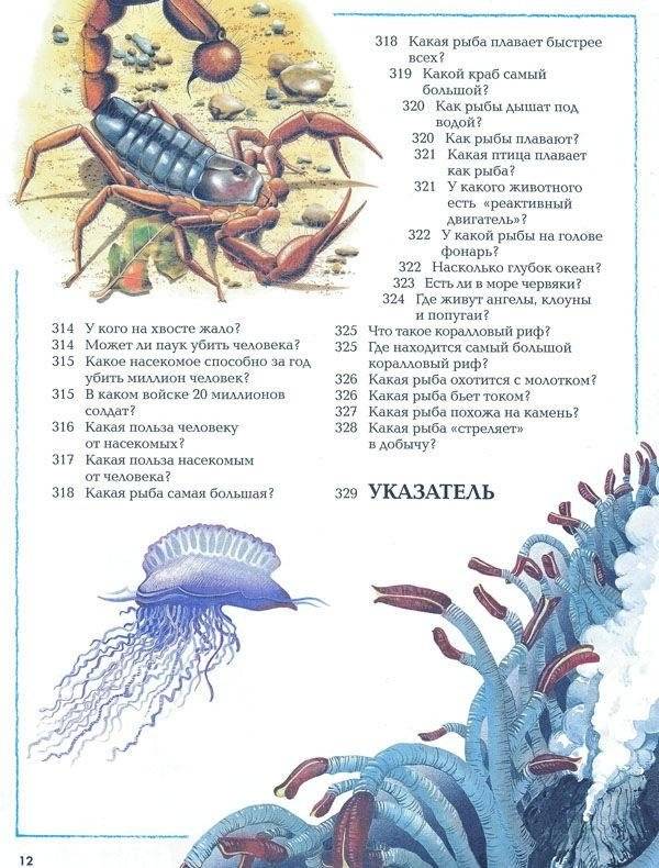 Большая детская энциклопедия фото книги 9