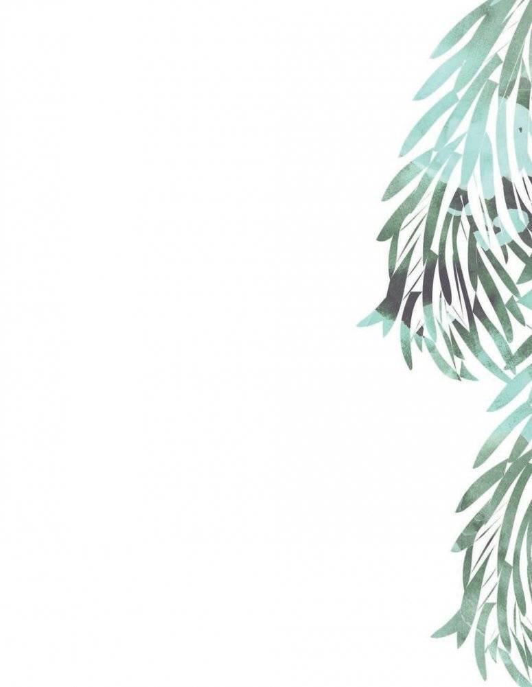 Мой первый гербарий. Цветы и листья фото книги 8