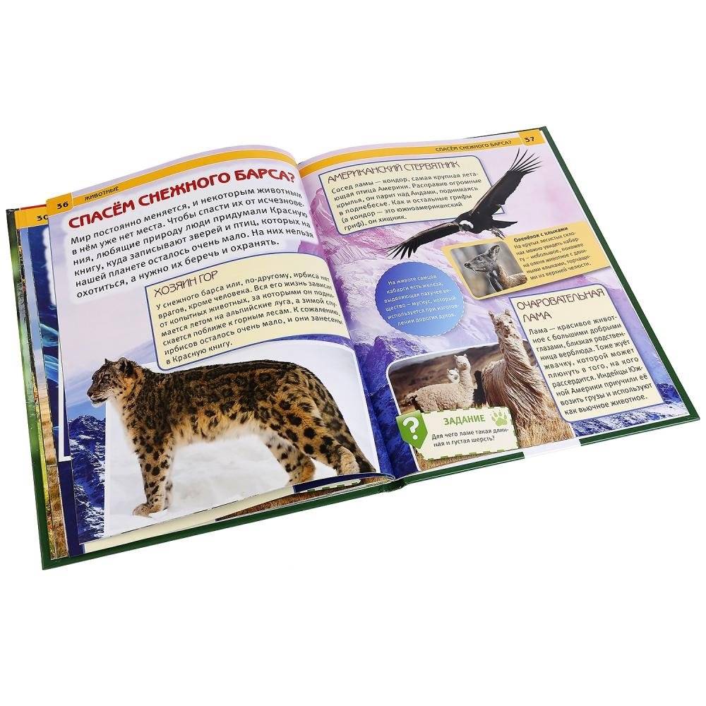 Животные фото книги 3