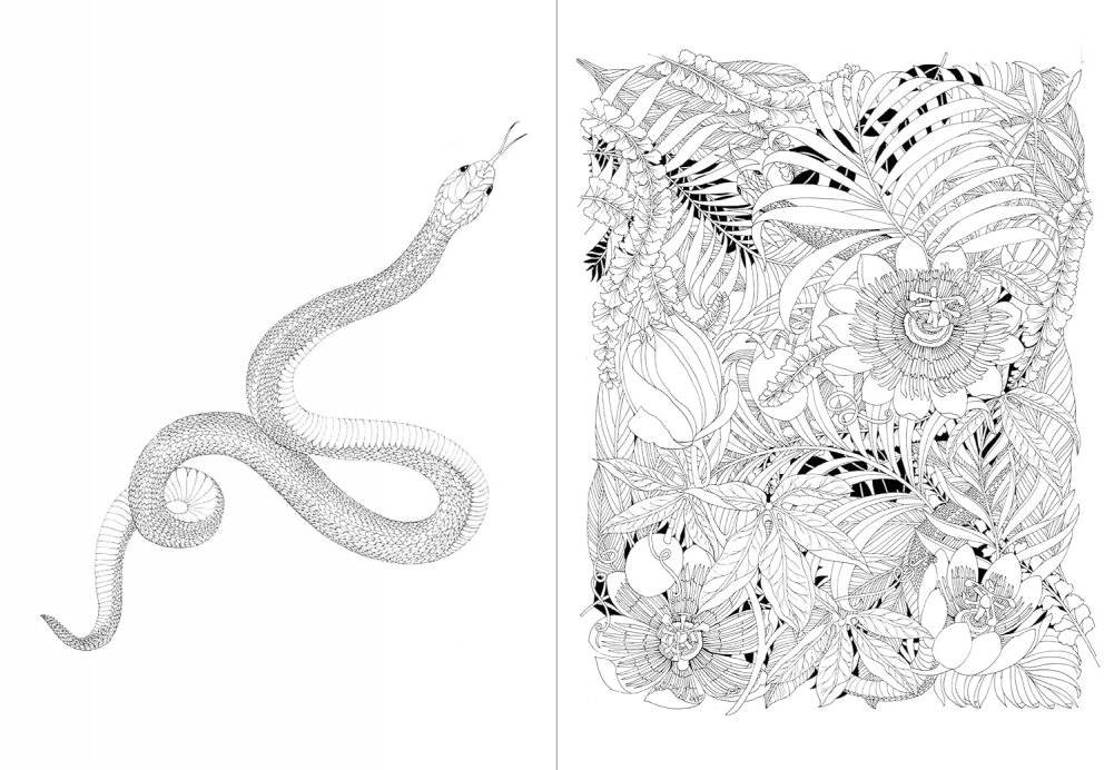Leila Duly's Beautiful Planet: An Intricate Coloring Book фото книги 5