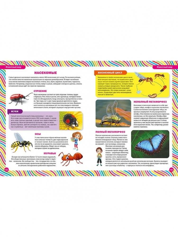 Большая книга для маленьких любознашек. Иллюстрированная энциклопедия фото книги 7