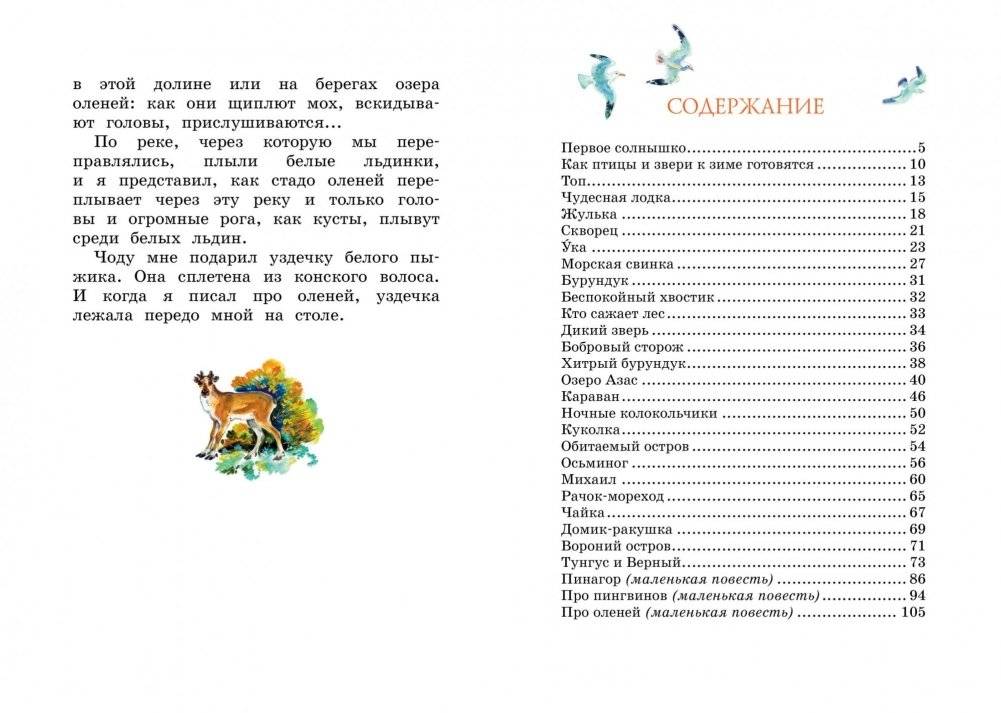 Беспокойный хвостик фото книги 8