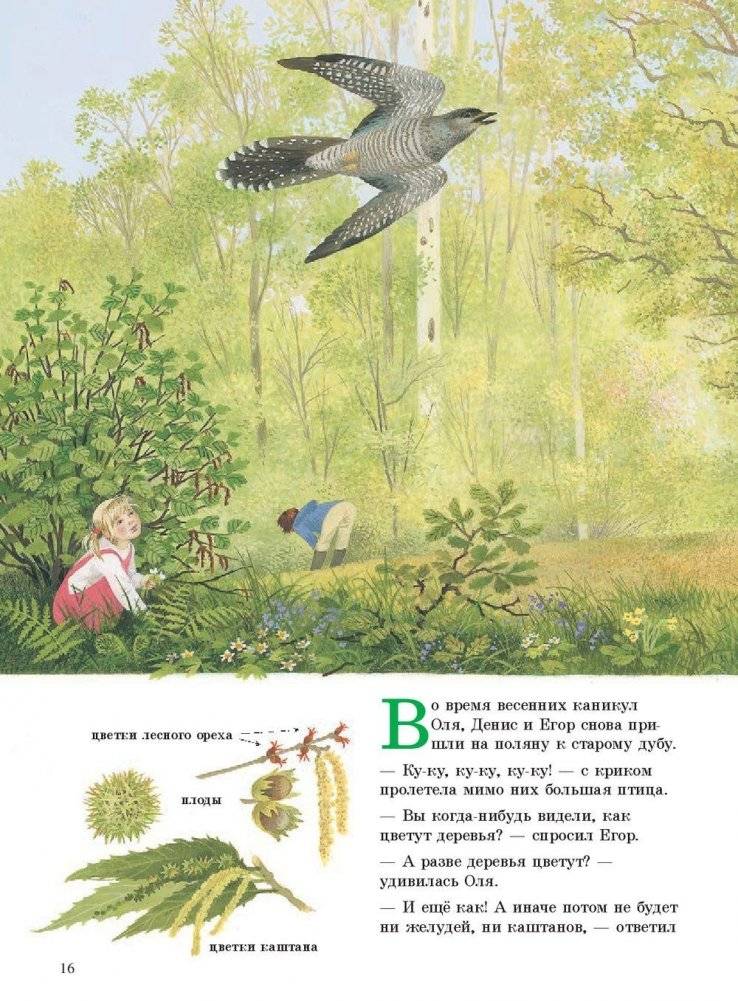 Наше дерево фото книги 4