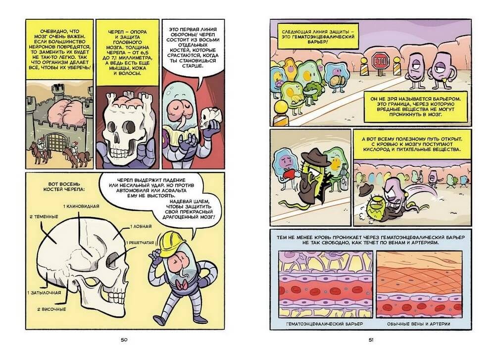 Мозг. Научный комикс фото книги 6
