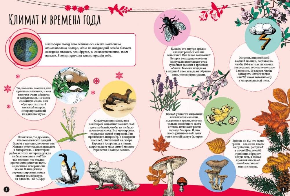 Чудеса природы фото книги 2