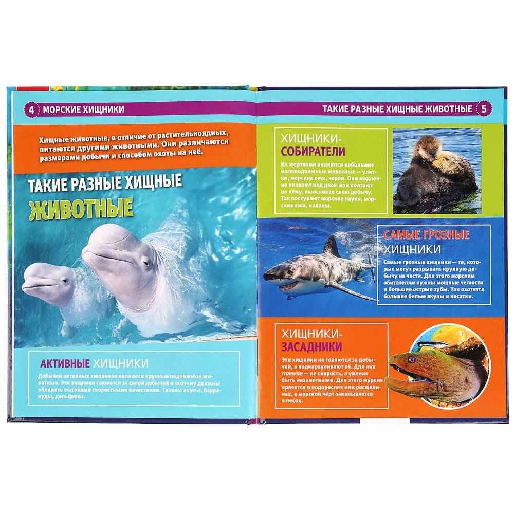 Энциклопедия. Морские хищники фото книги 3
