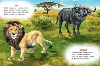 Кто живет в Африке фото книги 2