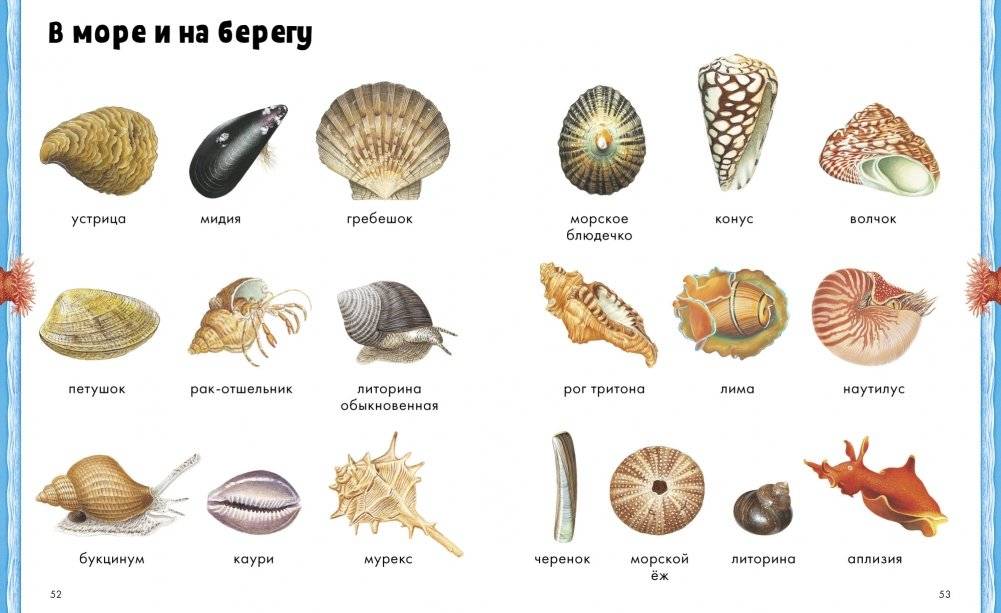 Животные. Визуальная энциклопедия фото книги 3