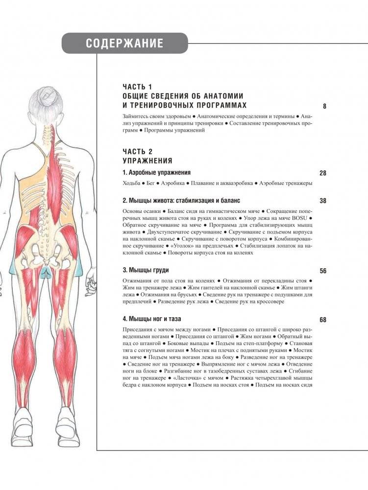 Анатомия фитнеса и силовых упражнений для женщин фото книги 3